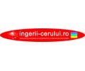 Logo of the website ingerii-cerului.ro